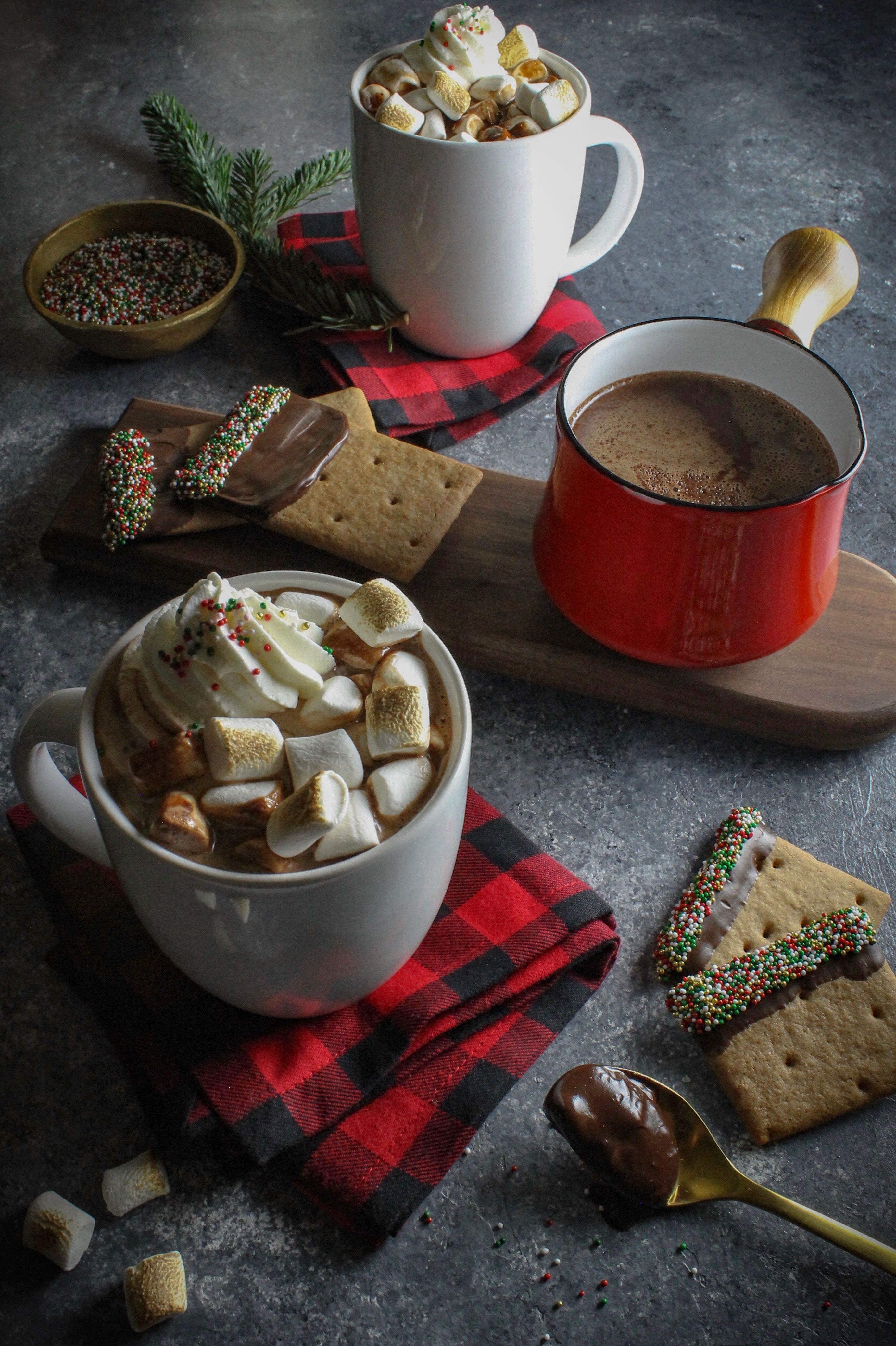 Glasses of hot chocolate with whipped cream, roasted marshmallows and Christmas sprinkles.